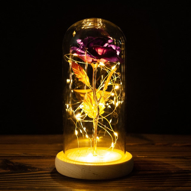 LED Enchanted Galaxy Rose Eternal -for you and your valentine